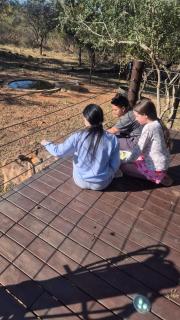 22 Siyanda Mabalingwe - 1