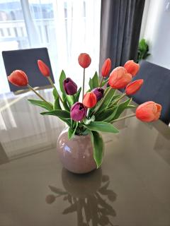 Apartment Zara - Biograd na Moru - 4