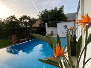 Villa Nikola - Kotor (Cattaro) - 8