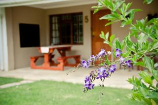 De Old Drift Guest Farm - Addo - 5