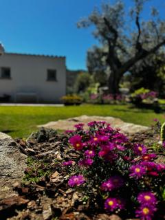 Autentico stazzo gallurese - Porto Rotondo - 5