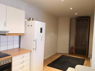 Nice flat in the heart of Bergen city, 2 bedrooms - 2 big beds - Bergen - 4