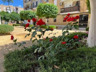 Triana Family suites - Seville - 1