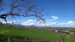 Natura e relax - Barge - 9