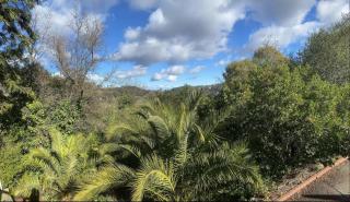 serene Mountainside Suite, Private entrance and bathroom - San Anselmo - 7