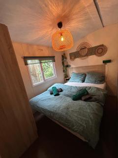 Boshuisje met sauna in Hoenderloo - Hoenderloo - 3