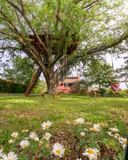 La Casa Rossa nell’Oasi verde - 0