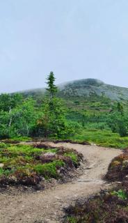 1125 Fjällstugan - 3