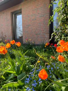 Zwei Zimmer Natur und Luxus Ferienwohnung mit Garten - Schmilau - 8