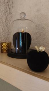 DREAM Apartament - Palanga - 5