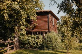 Treehouse Drevesna hiška Štrkovo gnezdo Ranč Jureš - Ljutomer - 5