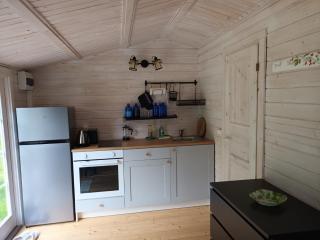 Salu summer cottage - 1