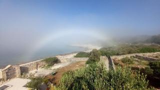 House Robinson Tiziana - 1