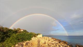 House Robinson Tiziana - 2