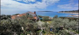 House Robinson Tiziana - 3