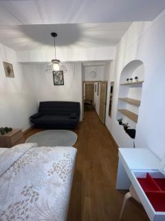 Appartement Dijon le Zola, avec parking privé sur demande payant sur place - Dijon - 7