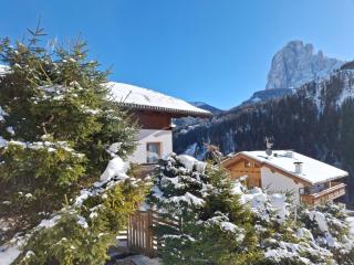 Apartments Insam - Santa Cristina in Val Gardena - 2