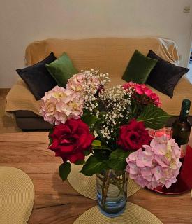 Apartmani Rita Jasmin - 9