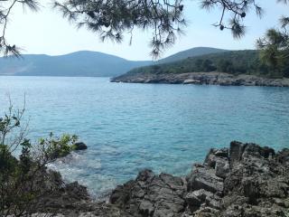 Vip apartmani - Tivat - 3