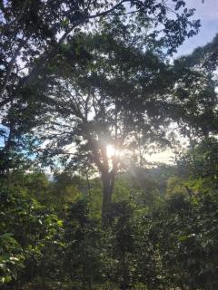 Finca La Rivera - San Agustín - 7