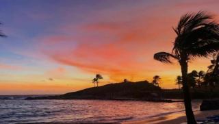 MangoSoleil - Sainte-Anne - 8