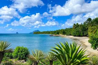 PIERRE ET VACANCES Idéal Calme et Confort 2 à 4 personnes - Sainte-Luce - 9