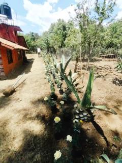 Linda Vista 4 - Mazamitla - 1