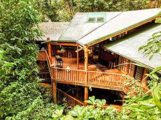 Tropical Timber Treetop Home 4BR swimming creek - Stoney Creek - 3