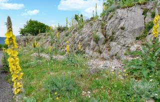 Gorgeous Home In Serrone With Wifi - Serrone - 9