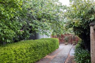 Silk Tree Studio - Steps to Cook Park - Orange - 2