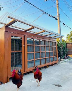 GMC DOG HOUSE - Ichinomiya - 8