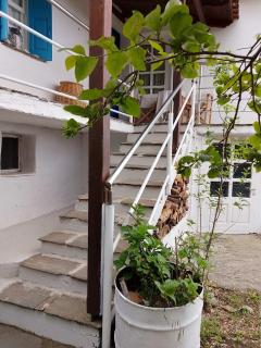 Mama's home - Arethousa - 9