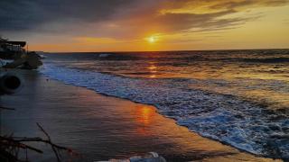 Arrullos del Mar - 2