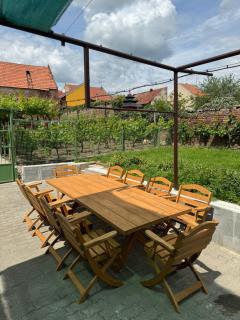 Mikulovská chalupa se sklepem - Mikulov - 9