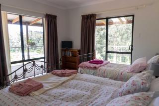 Blue Moon Forest Lodge -  - 7