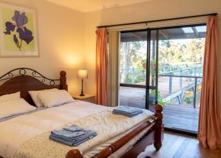 Blue Moon Forest Lodge -  - 1