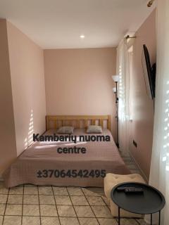 All kinds of rent in the center - Palanga - 0