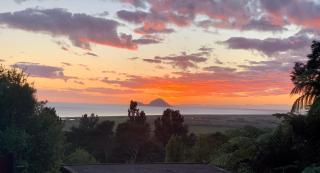 Tranquil Conservation RETREAT - Matata - 4