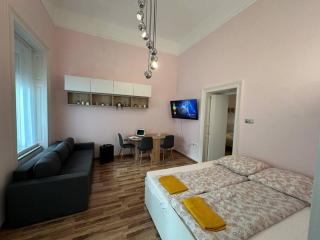 Fancy Cozy 2 BDR Downtown Apt - 9