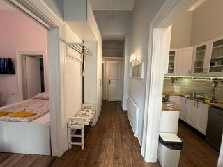Fancy Cozy 2 BDR Downtown Apt - Budapest - 8