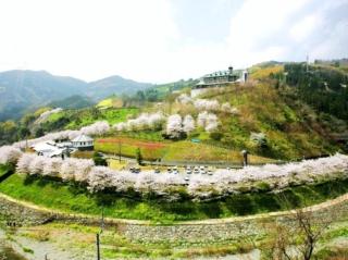 花の森ホテル - 7