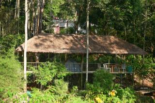 BLUE CREEK - Meppādi - 5