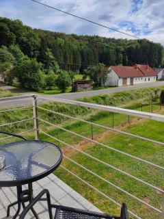 Ferienwohnung Waldblick mit Balkon nahe Therme Loipersdorf - 1