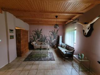 Ferienhaus am Theiß-See Bella - Tiszaderzs - 9