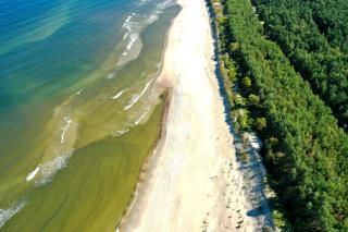 APARTAMENTY MIERZEJA - STEGNA PARK PREMIUM, 500 m od plaży - Stegna - 3