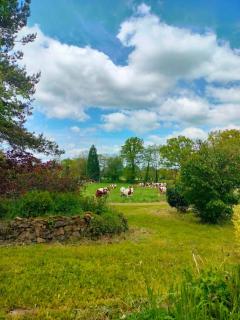 Gîte au gré du vent - La Goutelle - 2