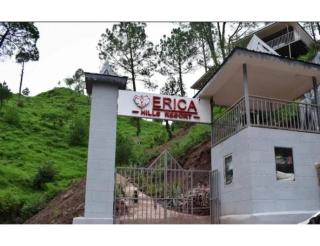 Erica Hills Resort, Kasauli - Solan - 0
