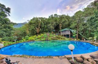 Regina Silva Jungle Resort - Paithalmala - 0