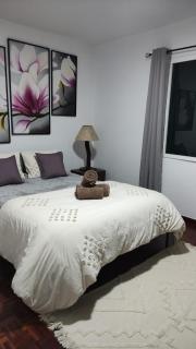 Villa Correia - Ribeiro Frio - São Roque do Faial - 4