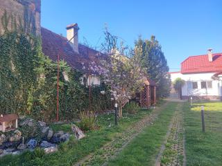 Verde Domol - casa individuala - Sînpetru - 8
